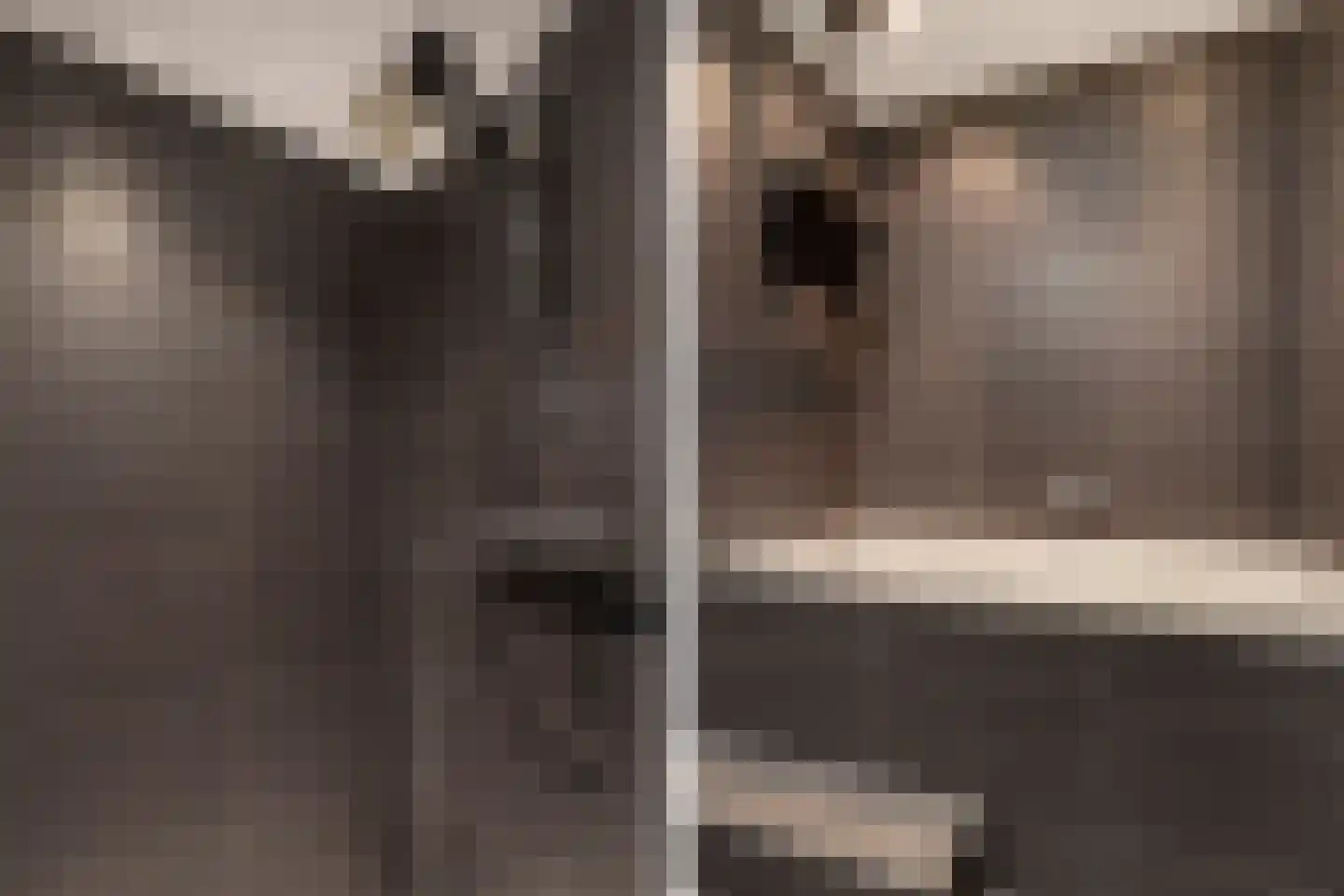 Ljouwerterdyk 9 Akkrum thumbnail 11
