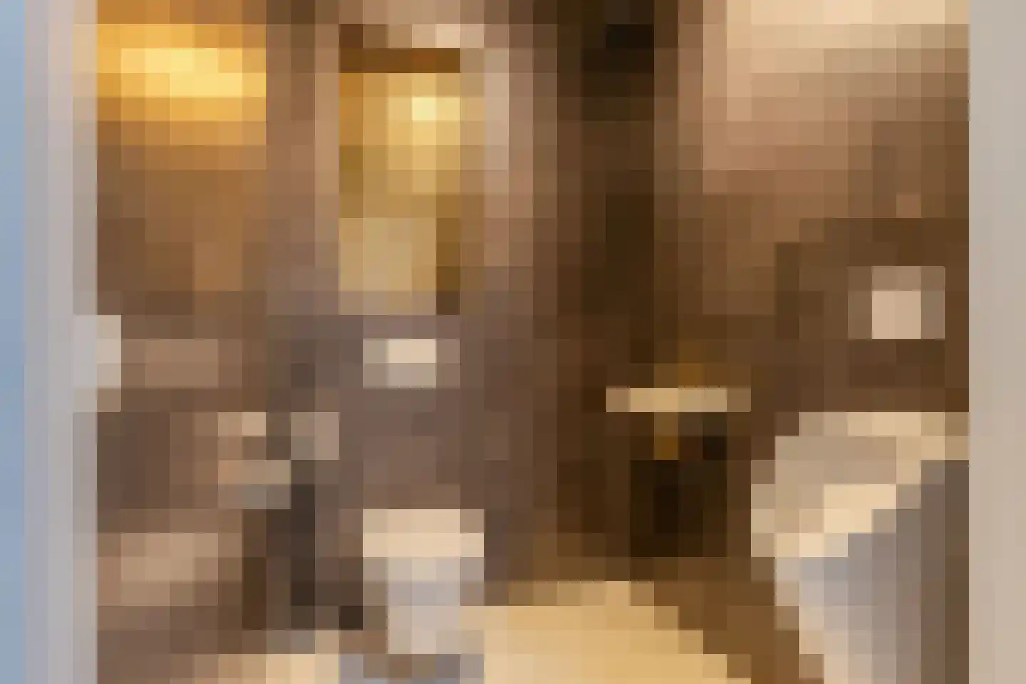 Ljouwerterdyk 9 Akkrum thumbnail 12