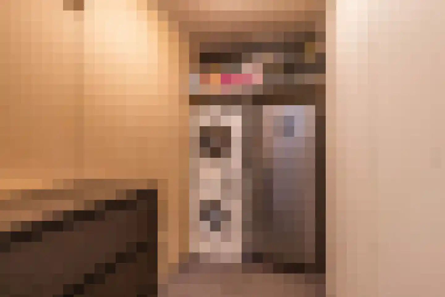 Ljouwerterdyk 9 Akkrum thumbnail 13