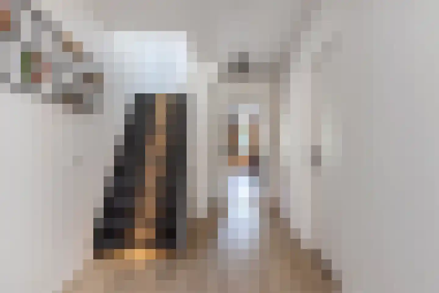 Ljouwerterdyk 9 Akkrum thumbnail 14