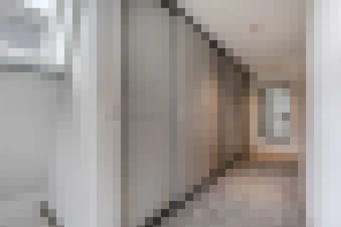 Ljouwerterdyk 9 Akkrum thumbnail 15