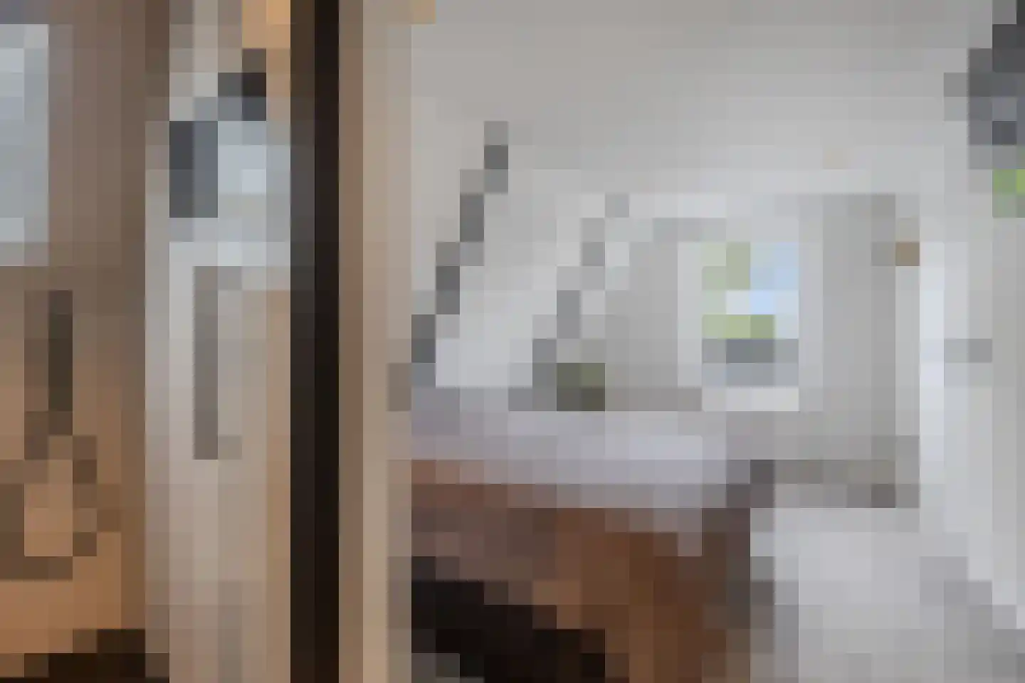 Ljouwerterdyk 9 Akkrum thumbnail 19