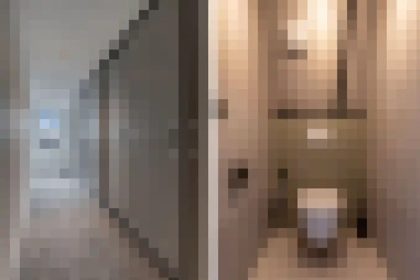 Ljouwerterdyk 9 Akkrum thumbnail 20