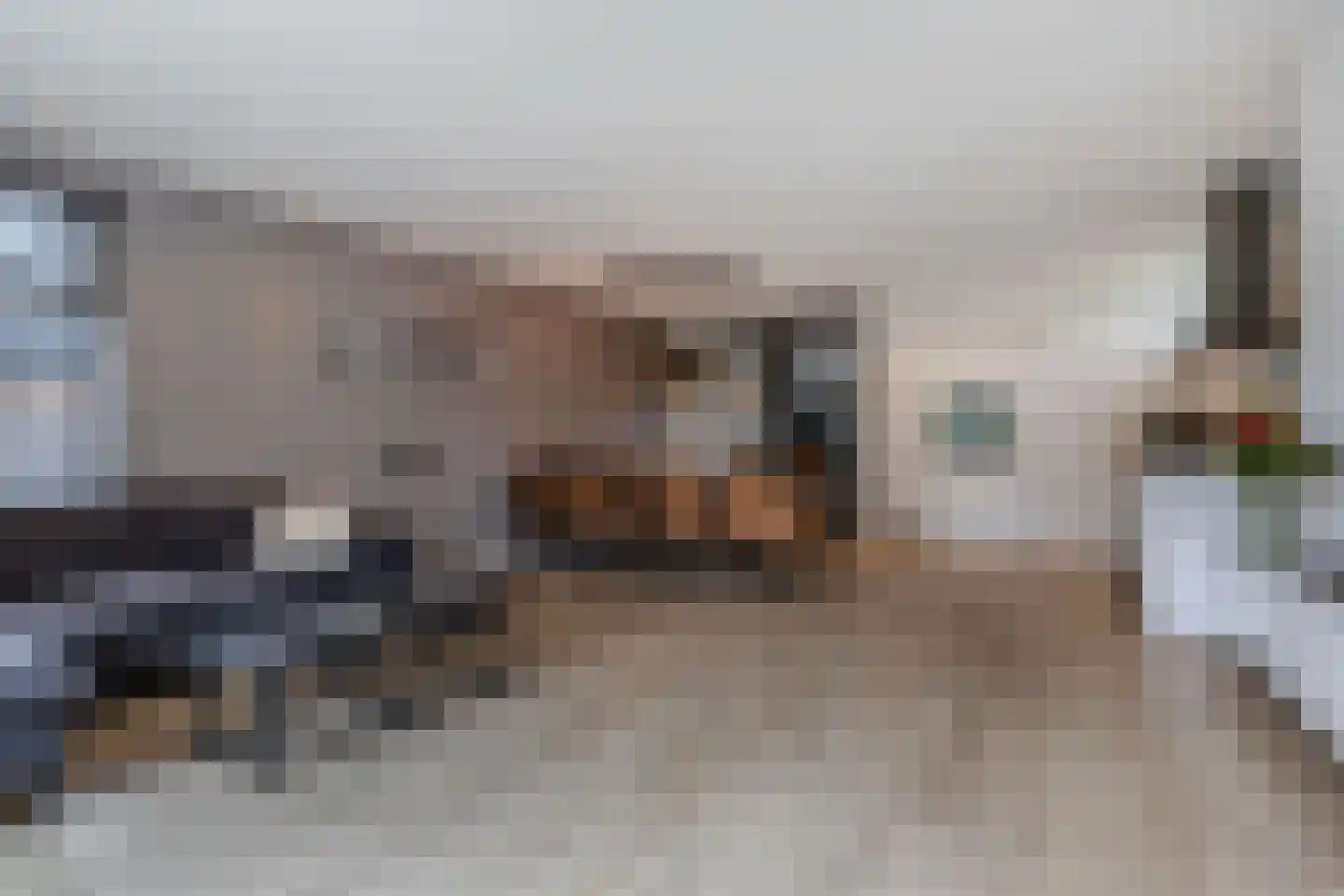 Ljouwerterdyk 9 Akkrum thumbnail 4