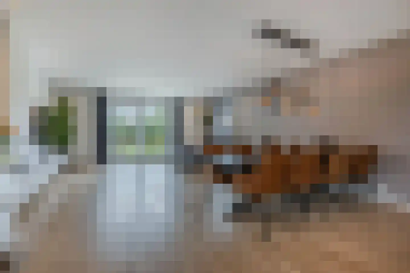 Ljouwerterdyk 9 Akkrum thumbnail 8