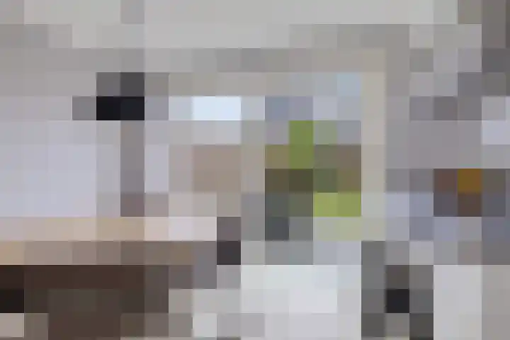 Ljurk 24 Wommels thumbnail 10