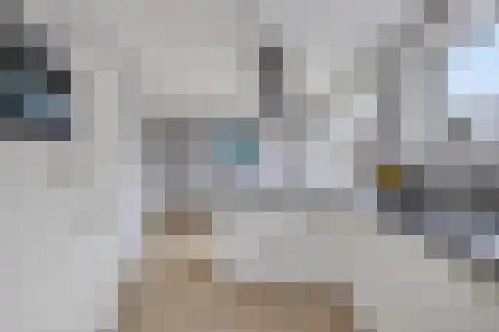 Ljurk 24 Wommels thumbnail 11