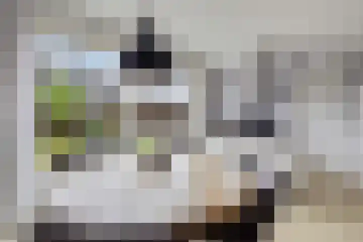 Ljurk 24 Wommels thumbnail 12