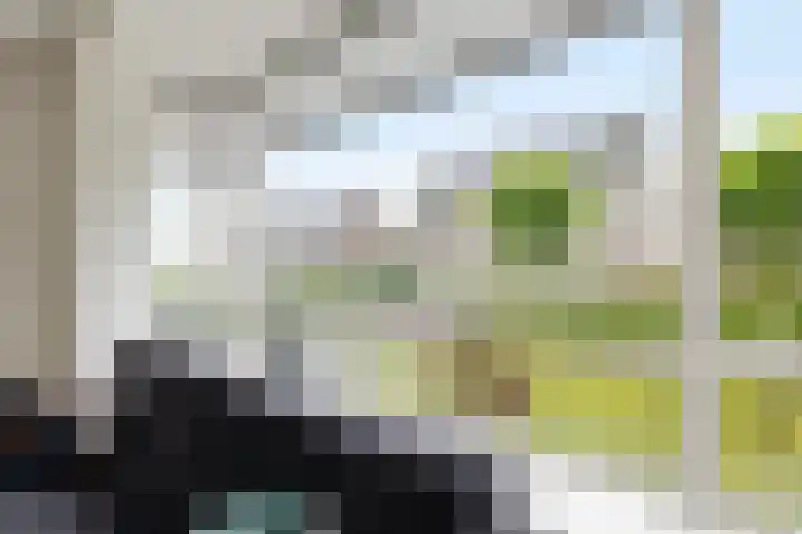 Ljurk 24 Wommels thumbnail 13