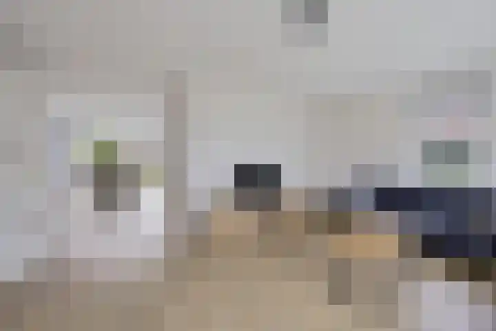Ljurk 24 Wommels thumbnail 14