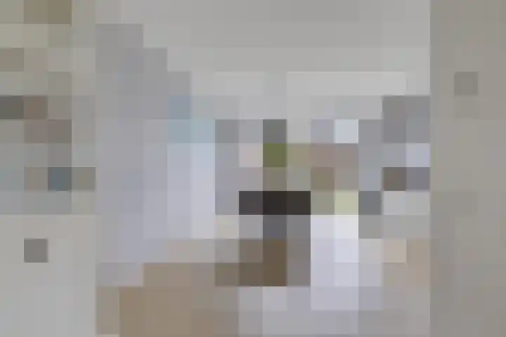 Ljurk 24 Wommels thumbnail 15