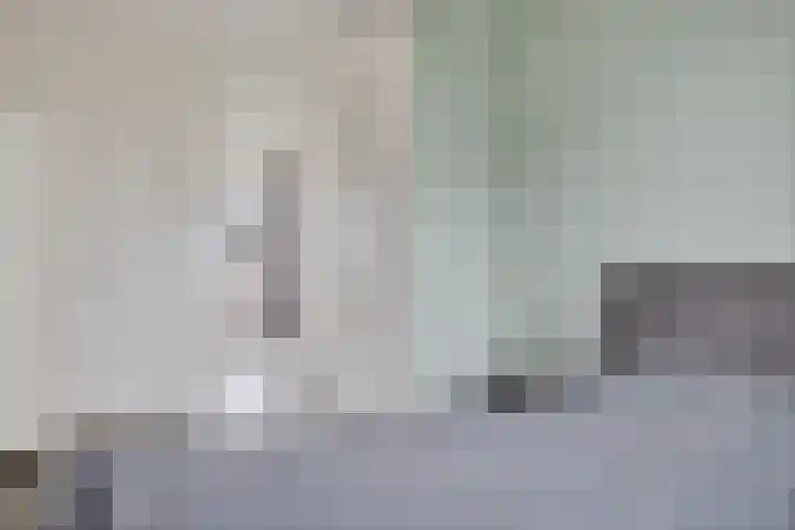 Ljurk 24 Wommels thumbnail 20