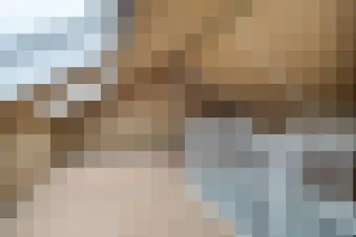 Ljurk 24 Wommels thumbnail 29
