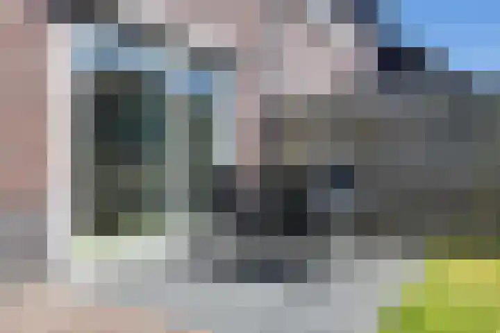 Ljurk 24 Wommels thumbnail 31