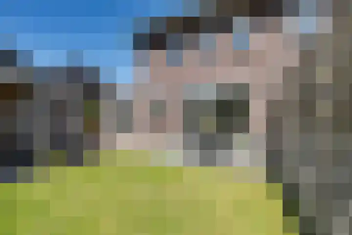 Ljurk 24 Wommels thumbnail 33