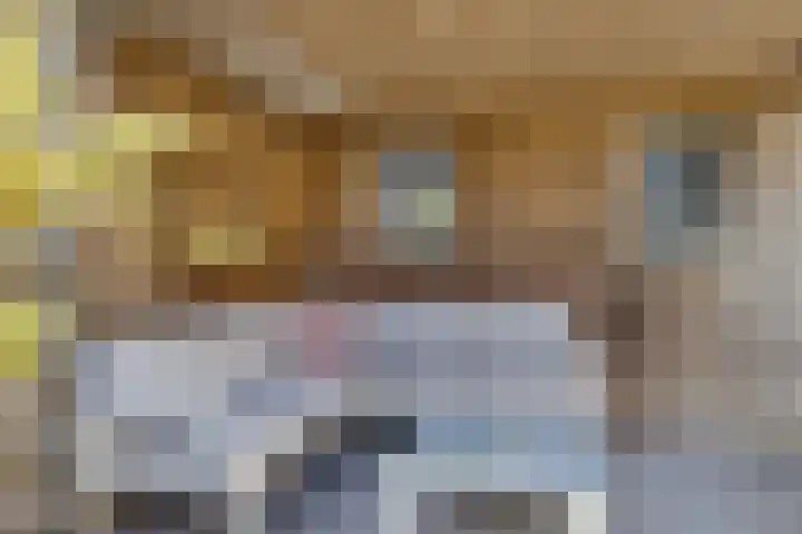 Ljurk 24 Wommels thumbnail 34
