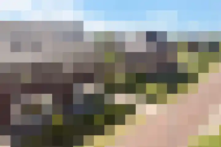 Ljurk 24 Wommels thumbnail 38