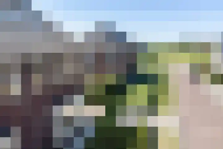 Ljurk 24 Wommels thumbnail 39
