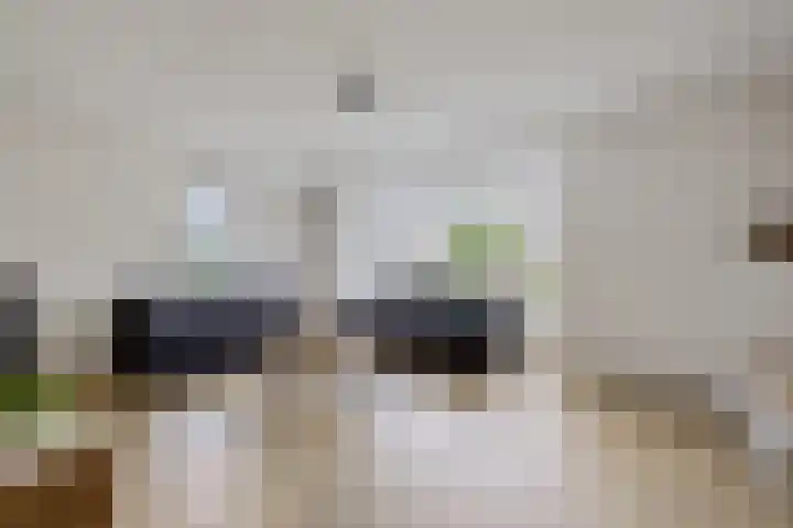 Ljurk 24 Wommels thumbnail 4
