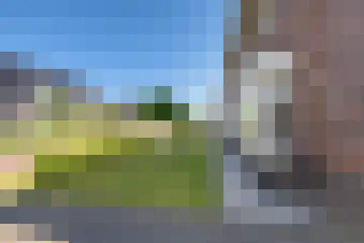 Ljurk 24 Wommels thumbnail 41