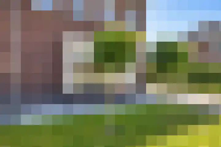Ljurk 24 Wommels thumbnail 43