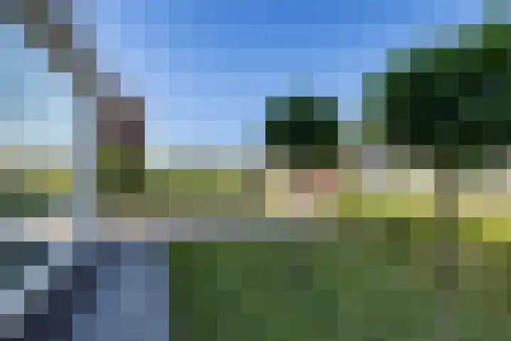 Ljurk 24 Wommels thumbnail 44