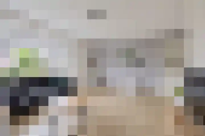 Ljurk 24 Wommels thumbnail 5