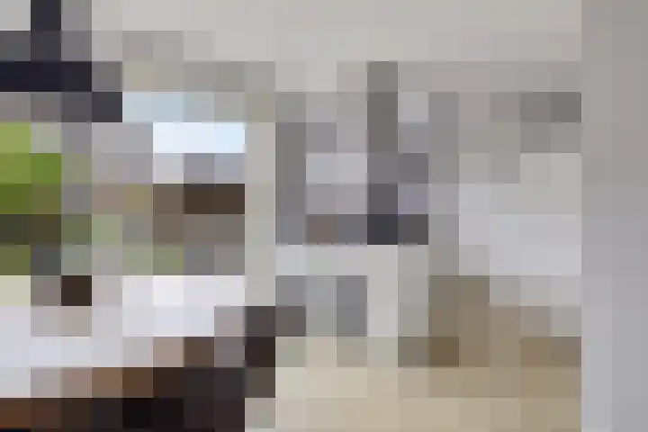 Ljurk 24 Wommels thumbnail 7