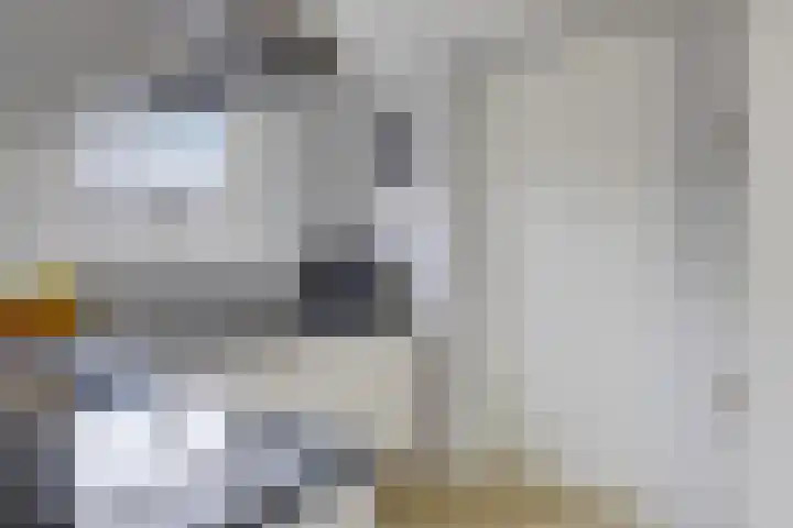 Ljurk 24 Wommels thumbnail 8
