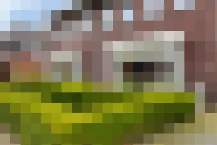 Ljurk 36 Wommels thumbnail 10