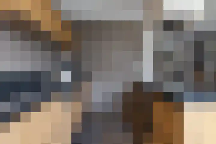 Ljurk 36 Wommels thumbnail 20