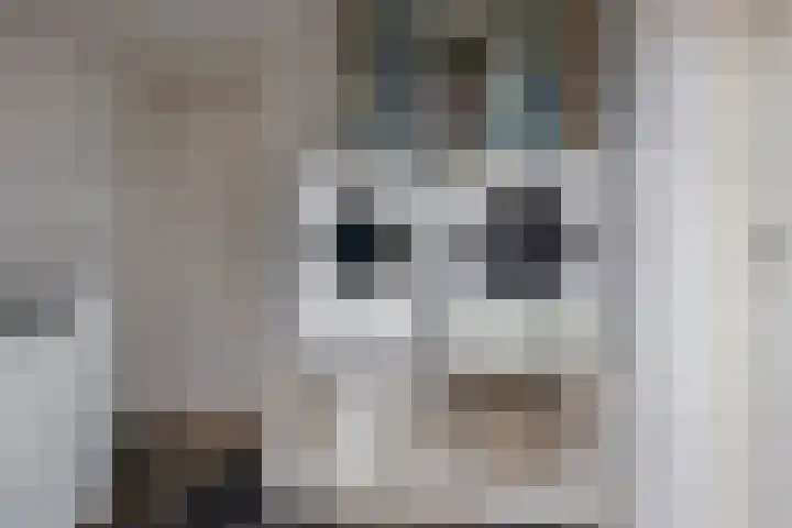 Ljurk 36 Wommels thumbnail 25