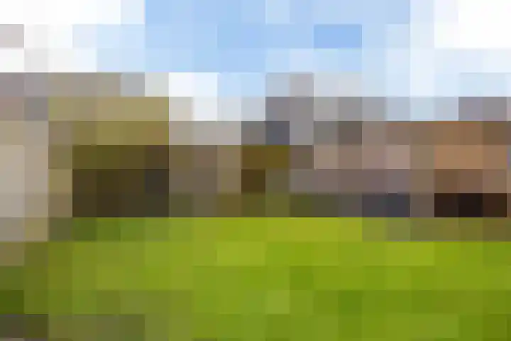 Ljurk 36 Wommels thumbnail 26