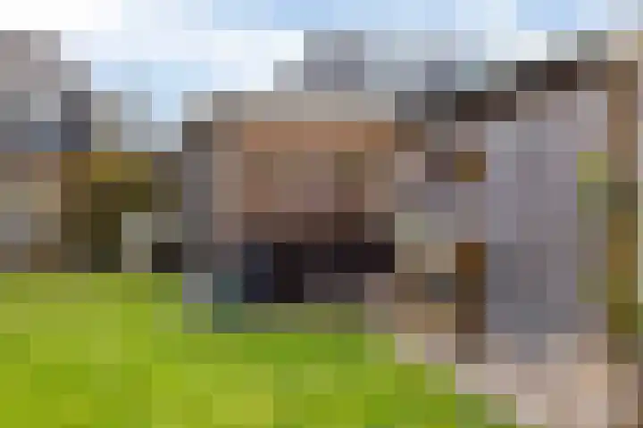 Ljurk 36 Wommels thumbnail 29