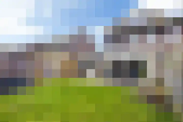 Ljurk 36 Wommels thumbnail 31