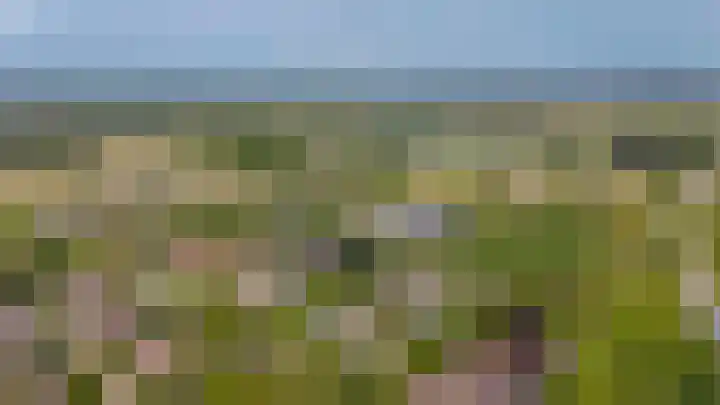 Ljurk 36 Wommels thumbnail 36