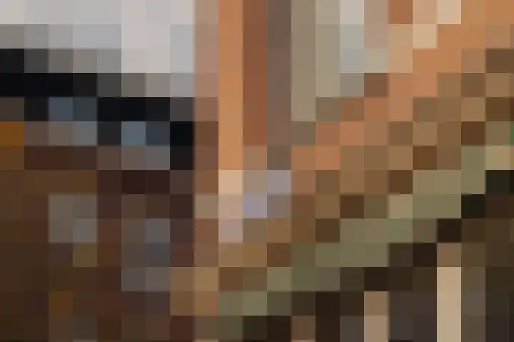 Ljurk 36 Wommels thumbnail 48