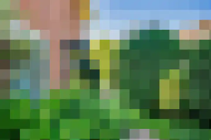 Ljurk 36 Wommels thumbnail 49