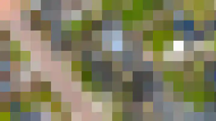 Ljurk 36 Wommels thumbnail 50