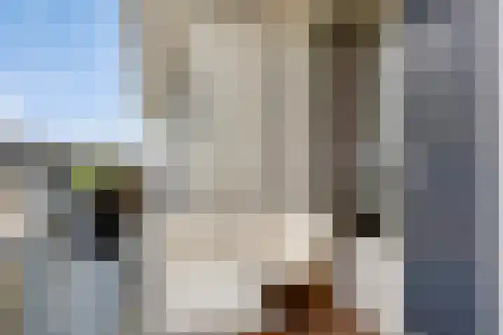 Ljurk 36 Wommels thumbnail 56