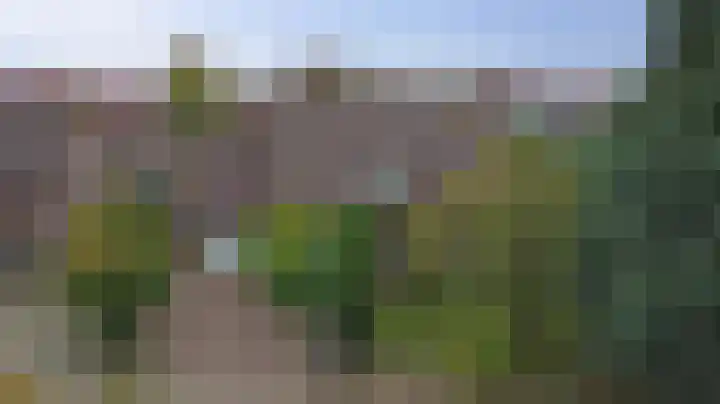 Ljurk 36 Wommels thumbnail 59