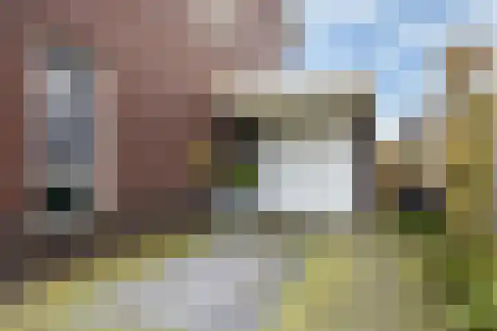 Ljurk 36 Wommels thumbnail 9