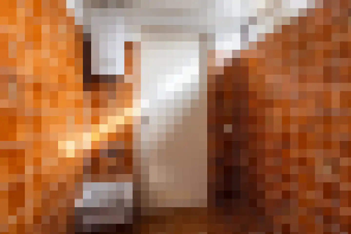 Ljurkstrjitte 14 Stiens thumbnail 12