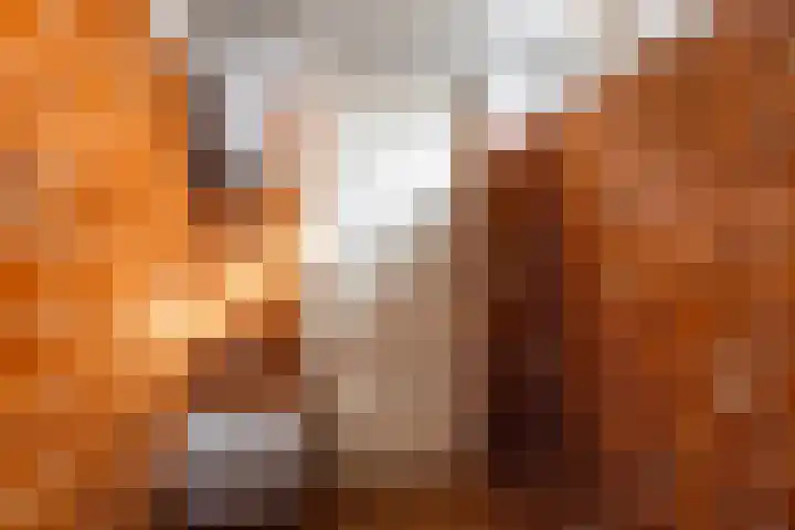 Ljurkstrjitte 14 Stiens thumbnail 13