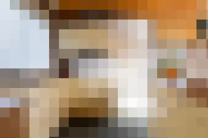 Ljurkstrjitte 14 Stiens foto 3