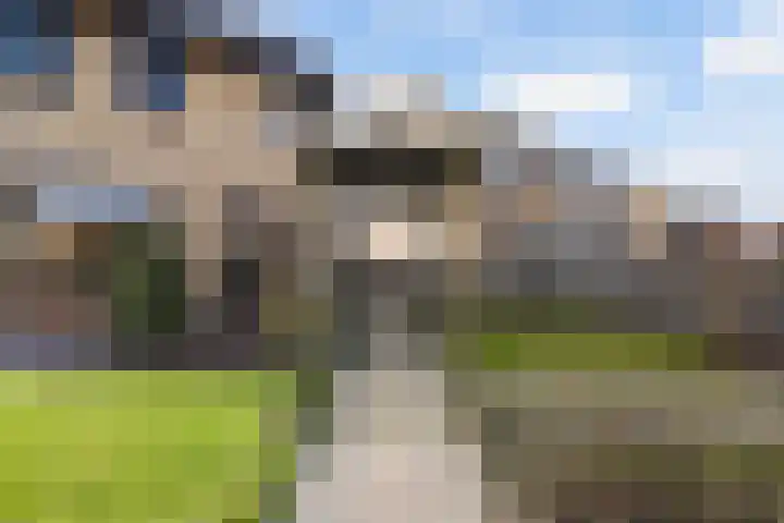 Ljurkstrjitte 14 Stiens thumbnail 30