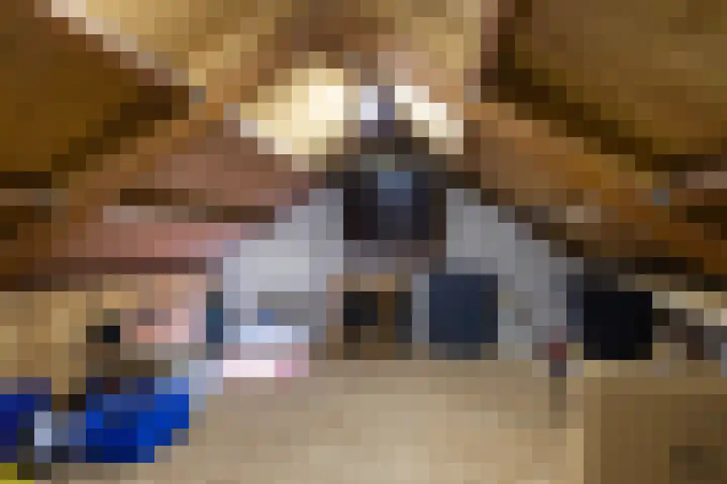 Ljurkstrjitte 14 Stiens thumbnail 37