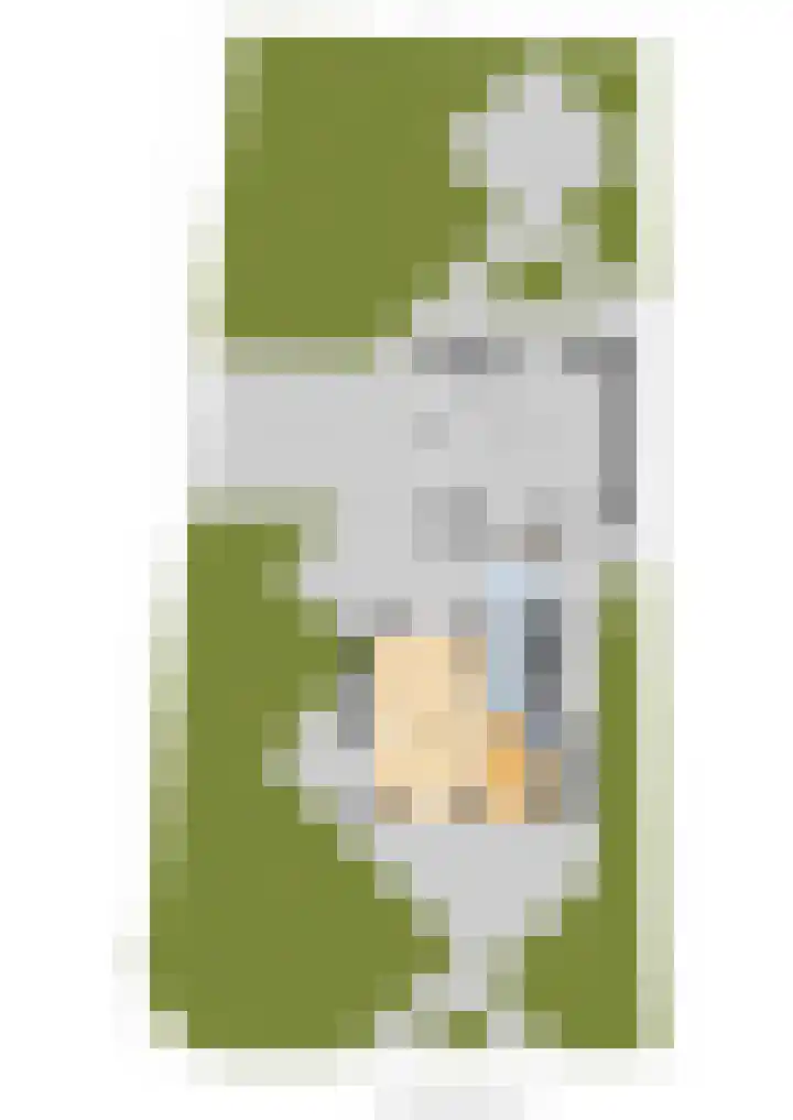 Ljurkstrjitte 14 Stiens thumbnail 56