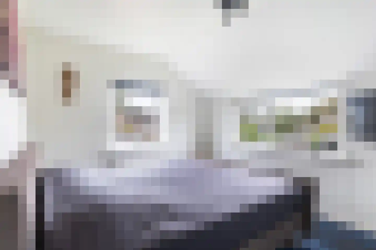 Ljurkstrjitte 25 Stiens thumbnail 18