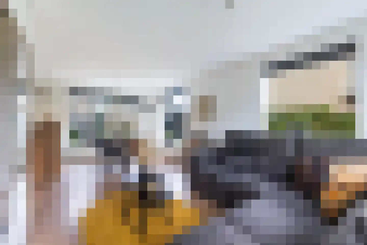 Ljurkstrjitte 25 Stiens foto 2